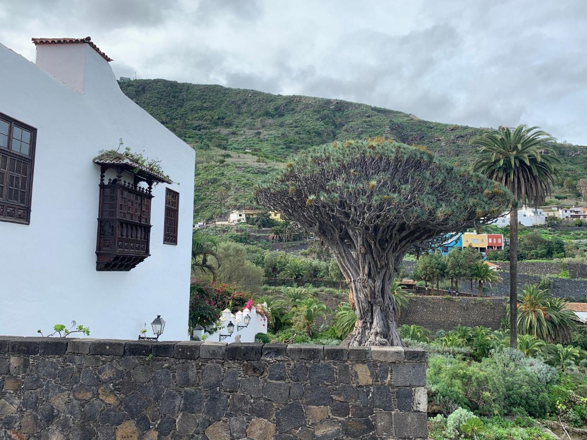 Casa La Baja Βίλα Garachico  Εξωτερικό φωτογραφία